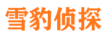 盘龙市私家侦探